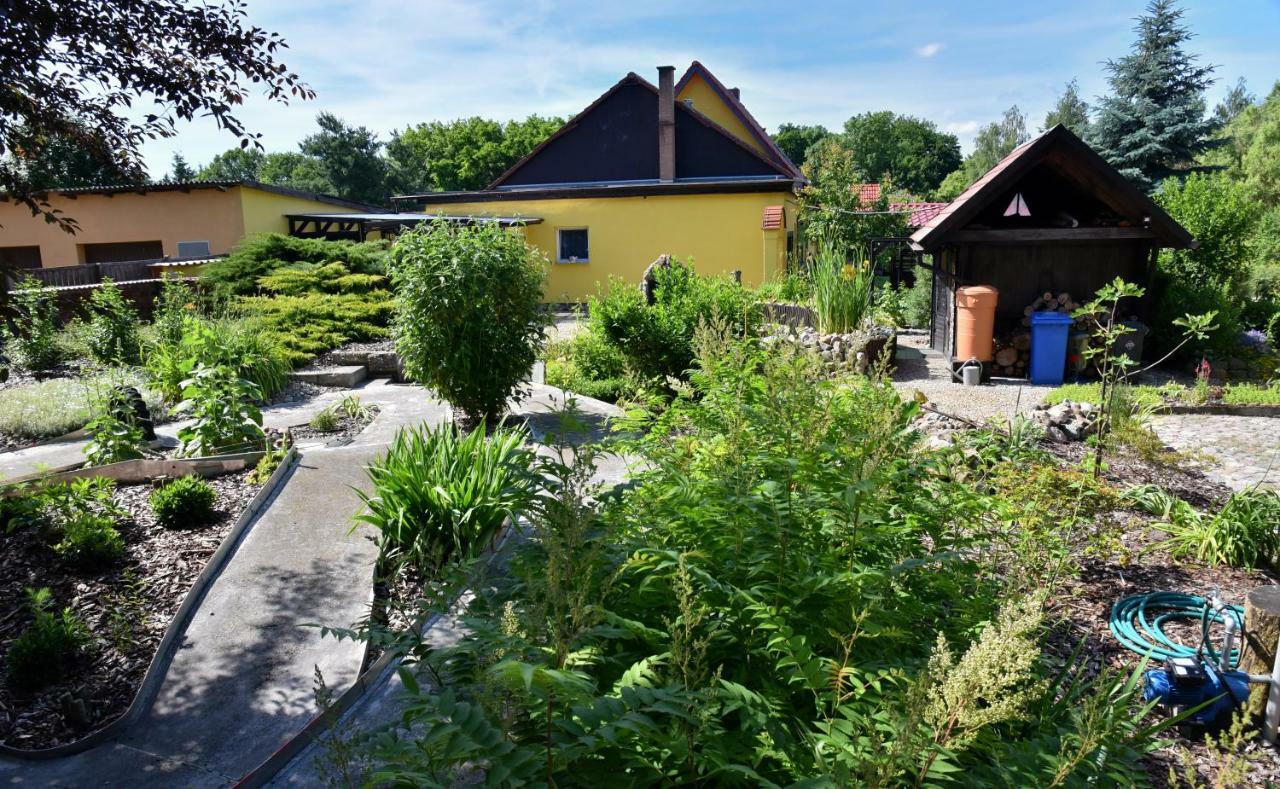 Ferienhaus "Am Gutspark" Alt Tucheband Экстерьер фото